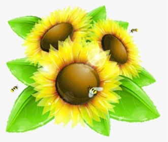 Sunflowers Clipart Bee - Honey Bees And Sunflower Background, HD Png Download, Transparent PNG