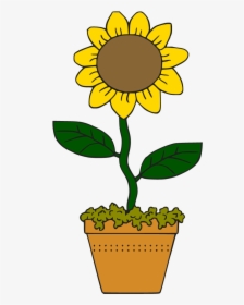 Victorian Sunflower Clipart Png - Sun Flower Cartoon Png, Transparent Png, Transparent PNG