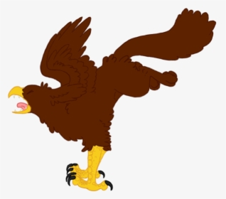 Bald Eagle Clipart - Aguila Llevando Una Gallina Animado, HD Png Download, Transparent PNG
