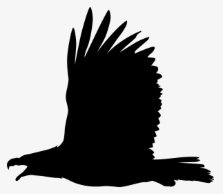 Bald Eagle Silhouette Clip Art, HD Png Download, Transparent PNG