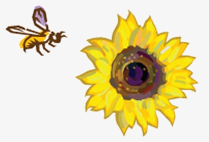 Sunflowers Clipart Bee - Sunflowers And A Bee, HD Png Download, Transparent PNG