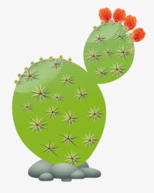 Succulents And Cactus Cactaceae Clip Art - Prickly Pear Cactus Clip Art, HD Png Download, Transparent PNG