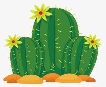 cactus #cacto #feliz #planta # Flor # Flores - Cactus Feliz, HD Png  Download , Transparent Png Image - PNGitem