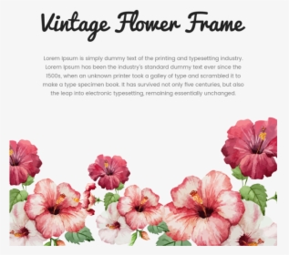 Vintage Flower Frame With Typography, Vintage, Flower, - Tropical Flowers Painting Watercolor, HD Png Download, Transparent PNG
