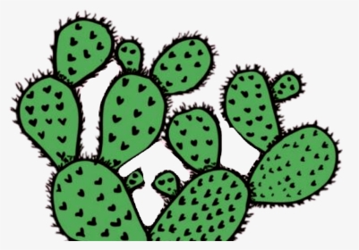 Cactus Tumblr Green Tumblrcactus - Stay Positive 🌵, HD Png Download, Transparent PNG