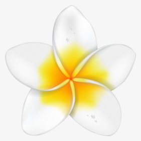 Hibiscus Clipart Flower Bali, HD Png Download, Transparent PNG
