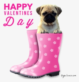3 Kbytes, Photo - Happy Valentines Day Dog, HD Png Download, Transparent PNG