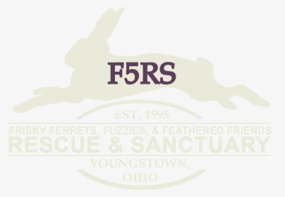 Frisky Ferrets, Fuzzies And Feathered Friends Rescue - Poster, HD Png Download, Transparent PNG