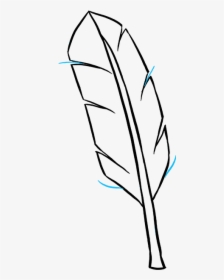 Easy Feather Drawing, HD Png Download, Transparent PNG