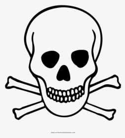 Skull And Crossbones Coloring Page - Hazard Warning Label Toxic, HD Png Download, Transparent PNG