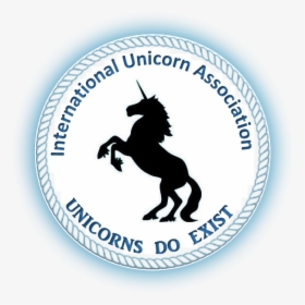 Picture - Stallion, HD Png Download, Transparent PNG