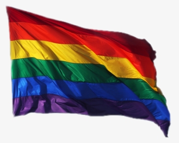 #pride #lgbt #lgbtq #prideflag #flag #homosexuall #nichememe - Race Segregation Flag Rainbow, HD Png Download, Transparent PNG