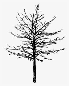 Red Pine, HD Png Download, Transparent PNG