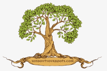 Transparent Thorn Crown Png - Tree Family Reunion Png, Png Download, Transparent PNG