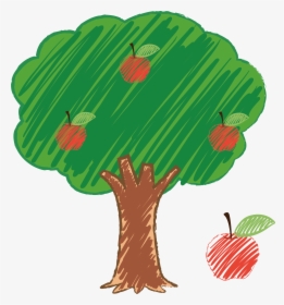 Tree Drawing Png - Apple Tree For Drawing, Transparent Png, Transparent PNG