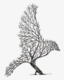 Transparent Tree Drawing Png - Cool Tree Drawing Easy, Png Download, Transparent PNG