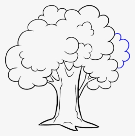 How To Draw Cartoon Tree - Cartoon Pencil Tree Drawing, HD Png Download, Transparent PNG