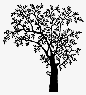 Tree Drawing Realistic - Tree Clipart Black And White, HD Png Download, Transparent PNG