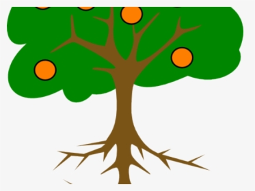 Tree Drawing With Fruits Clipart , Png Download - Name Of Tree Part, Transparent Png, Transparent PNG