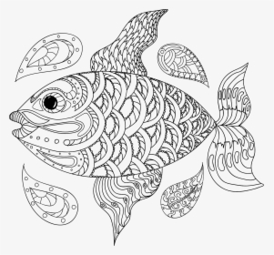 Hand Drawn Fish Clip Arts - Line Art, HD Png Download, Transparent PNG