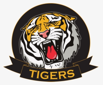 Transparent Tiger Icon Png - Bay High Tigers, Png Download, Transparent PNG