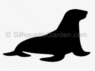 Sea Lion Silhouette, HD Png Download, Transparent PNG