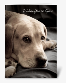 Missing You Sad Dog Greeting Card - Dog With Missing You, HD Png Download, Transparent PNG