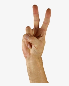 Harmony Peace Hope Sign Language Finger Two Hand Background - Peace Sign Hand Png, Transparent Png, Transparent PNG