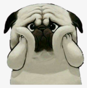 #cute #dog #sad #shocked - Cute Dog Images Hd Download, HD Png Download, Transparent PNG