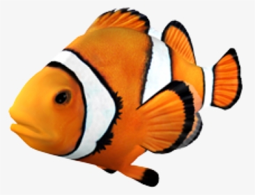 Goldfish Clownfish Angelfish Tropical Fish - Clown Fish Transparent Background, HD Png Download, Transparent PNG