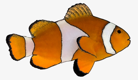 Transparent Fishes Png - Transparent Background Tropical Fish Clipart, Png Download, Transparent PNG