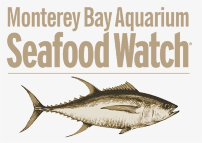 Https - //thelobstertrap - - Seafood Watch, HD Png Download, Transparent PNG