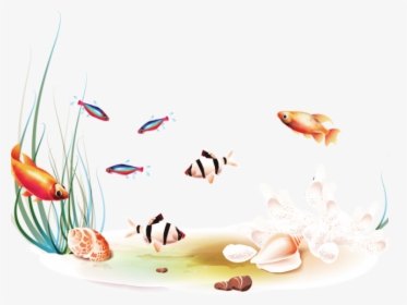 Transparent Tropical Fish Clipart - Ceramic, HD Png Download, Transparent PNG