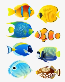 Transparent Fish Tank Clipart - Coral Reef Fish Clipart, HD Png Download, Transparent PNG