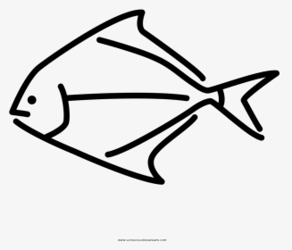 Tropical Fish Coloring Page - Line Art, HD Png Download, Transparent PNG