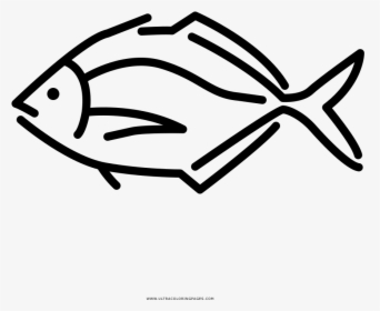 Tropical Fish Coloring Page - Pomacentridae, HD Png Download, Transparent PNG
