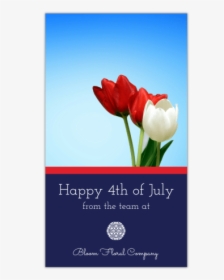 Happy 4th Of July Instagram Story Template Preview - Sprenger's Tulip, HD Png Download, Transparent PNG