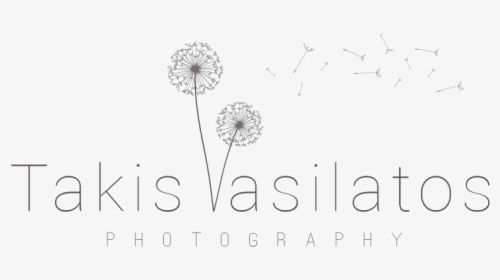 Takis Vasilattos Photography - Dandelion, HD Png Download, Transparent PNG
