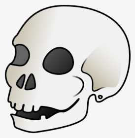 Cartoon Skull Png - Skull Clip Art, Transparent Png, Transparent PNG