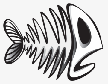 Fish Bone Drawing, HD Png Download, Transparent PNG