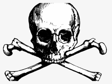 New England Patriots Clipart Skull - Transparent Background Skull And Crossbones Png, Png Download, Transparent PNG