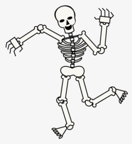 Skeleton Transparent Cartoon - Cartoon Transparent Background Skeleton, HD Png Download, Transparent PNG