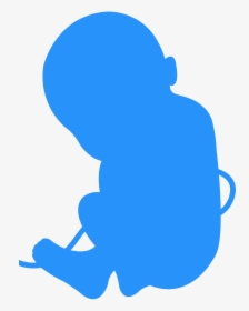 Fetus Silhouette, HD Png Download, Transparent PNG