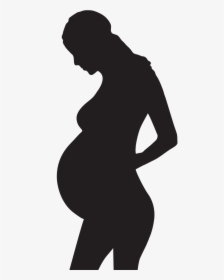 Pregnancy Graphic, HD Png Download, Transparent PNG