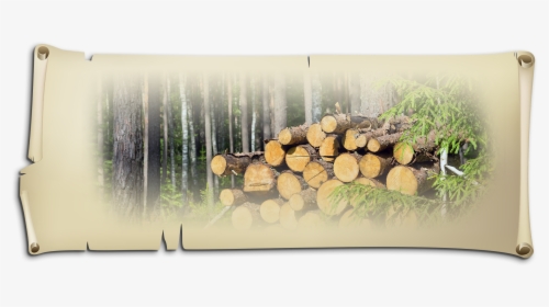 Wood With The Birch Bark And Then Build Up The Logs - Lumber, HD Png Download, Transparent PNG