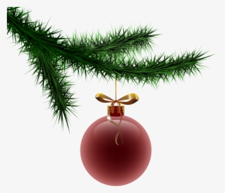 Branch Clipart Christmas - Christmas Tree Branch With Ornament Png, Transparent Png, Transparent PNG