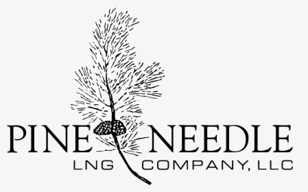 Pine Needle Logo Black And White - Dunfermline Building Society, HD Png Download, Transparent PNG