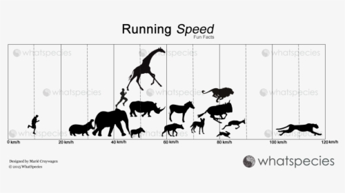 Running Speed - Cartoon, HD Png Download, Transparent PNG