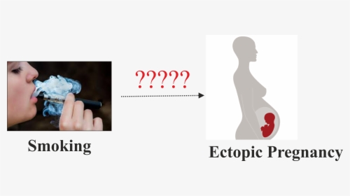 Does Smoking Cause Ectopic Pregnancy - No Smoking, HD Png Download, Transparent PNG