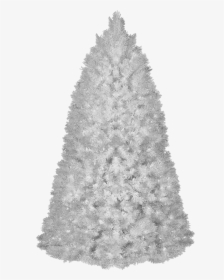 White Christmas Tree Transparent Png, Png Download, Transparent PNG